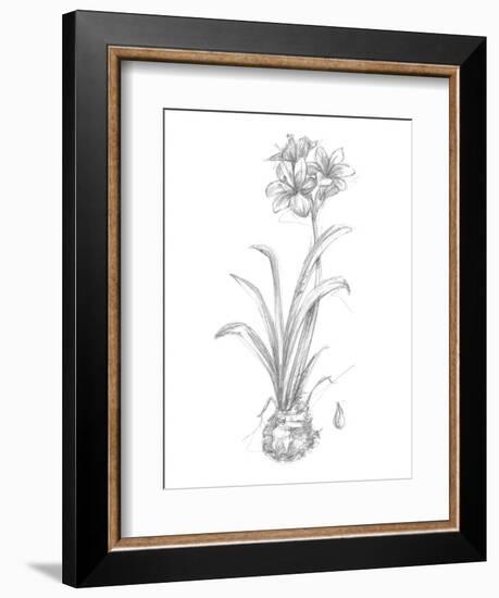 Botanical Sketch II-Ethan Harper-Framed Art Print