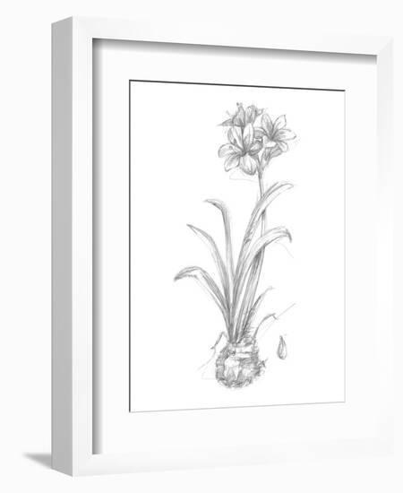 Botanical Sketch II-Ethan Harper-Framed Art Print