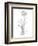 Botanical Sketch II-Ethan Harper-Framed Art Print