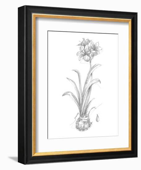 Botanical Sketch II-Ethan Harper-Framed Art Print