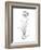 Botanical Sketch II-Ethan Harper-Framed Art Print