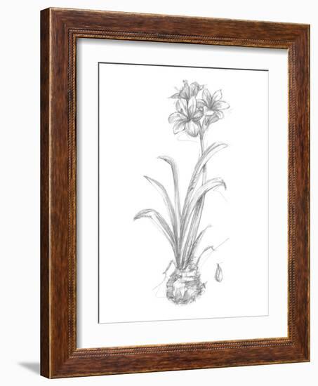 Botanical Sketch II-Ethan Harper-Framed Art Print