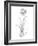 Botanical Sketch II-Ethan Harper-Framed Art Print