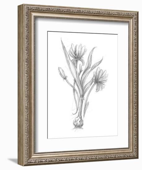 Botanical Sketch III-Ethan Harper-Framed Art Print