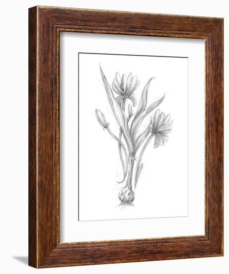 Botanical Sketch III-Ethan Harper-Framed Art Print