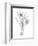 Botanical Sketch III-Ethan Harper-Framed Art Print