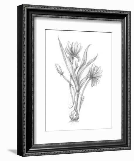 Botanical Sketch III-Ethan Harper-Framed Art Print