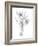 Botanical Sketch III-Ethan Harper-Framed Art Print