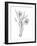 Botanical Sketch III-Ethan Harper-Framed Art Print