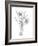 Botanical Sketch III-Ethan Harper-Framed Art Print