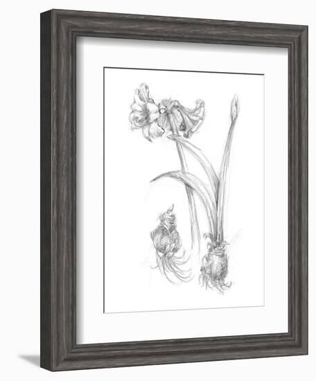 Botanical Sketch IV-Ethan Harper-Framed Art Print