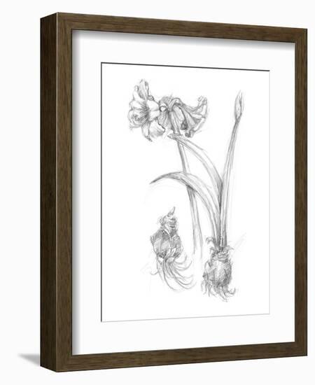 Botanical Sketch IV-Ethan Harper-Framed Art Print