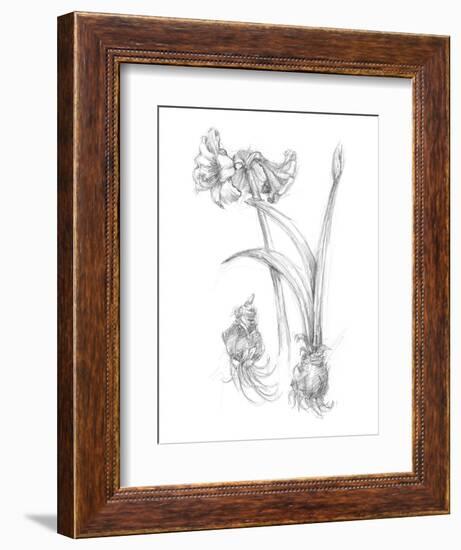 Botanical Sketch IV-Ethan Harper-Framed Art Print