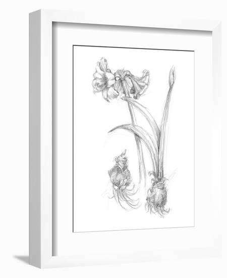 Botanical Sketch IV-Ethan Harper-Framed Art Print