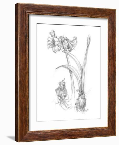 Botanical Sketch IV-Ethan Harper-Framed Art Print