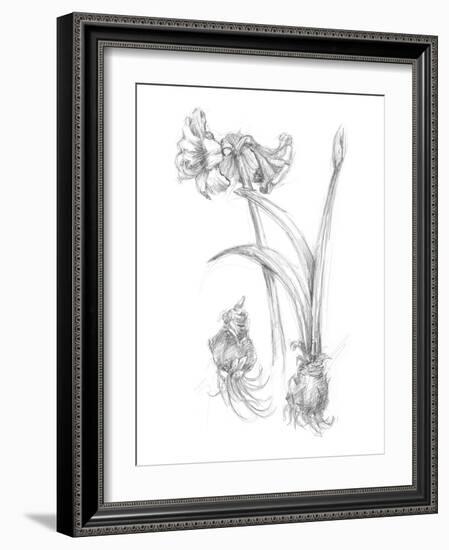 Botanical Sketch IV-Ethan Harper-Framed Art Print