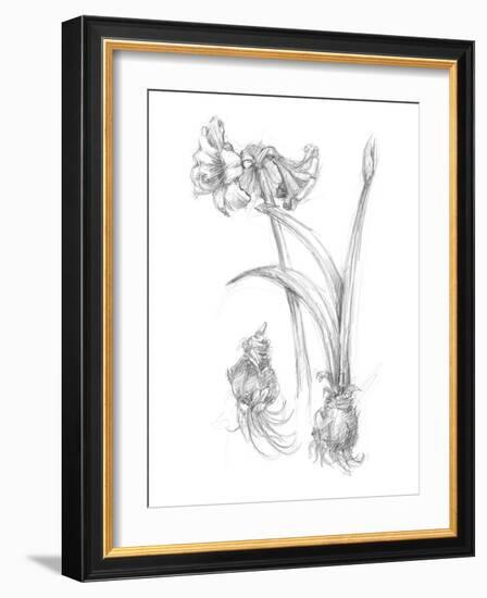 Botanical Sketch IV-Ethan Harper-Framed Art Print