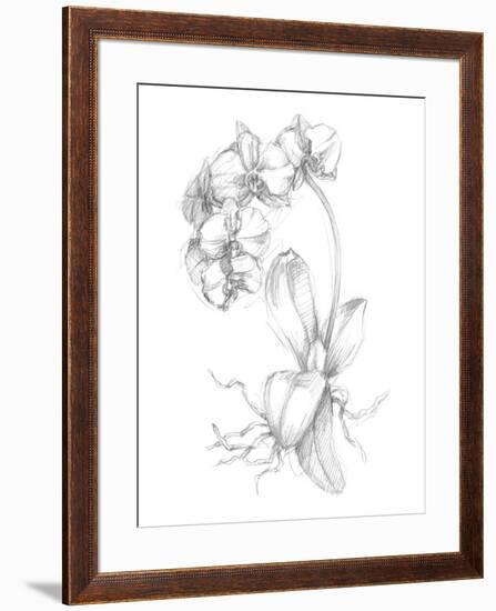 Botanical Sketch V-Ethan Harper-Framed Art Print