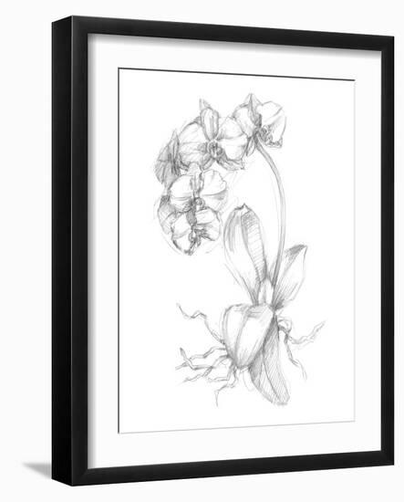 Botanical Sketch V-Ethan Harper-Framed Art Print