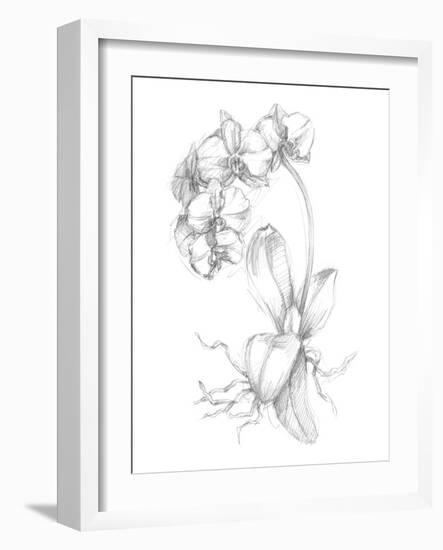 Botanical Sketch V-Ethan Harper-Framed Art Print