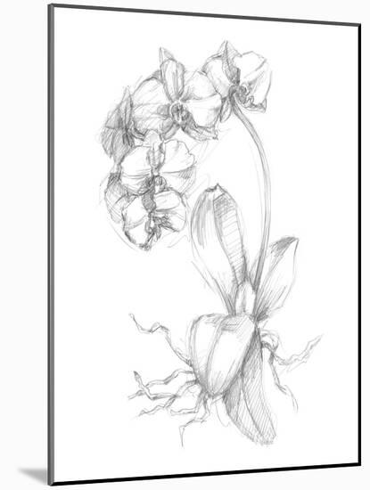 Botanical Sketch V-Ethan Harper-Mounted Art Print