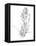Botanical Sketch VI-Ethan Harper-Framed Stretched Canvas
