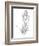 Botanical Sketch VI-Ethan Harper-Framed Art Print