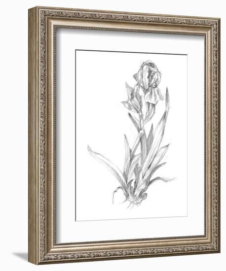 Botanical Sketch VI-Ethan Harper-Framed Art Print