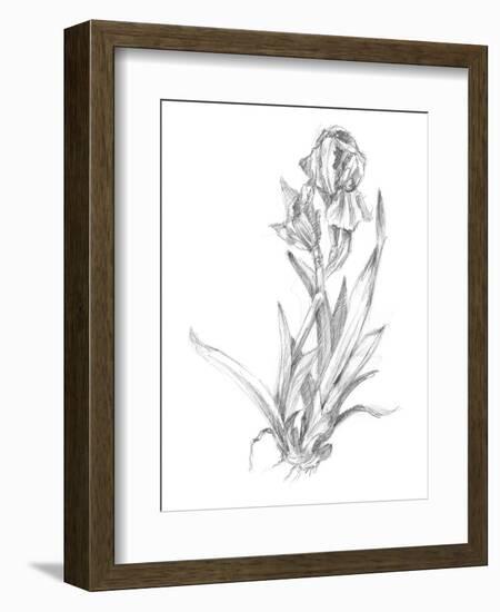 Botanical Sketch VI-Ethan Harper-Framed Art Print