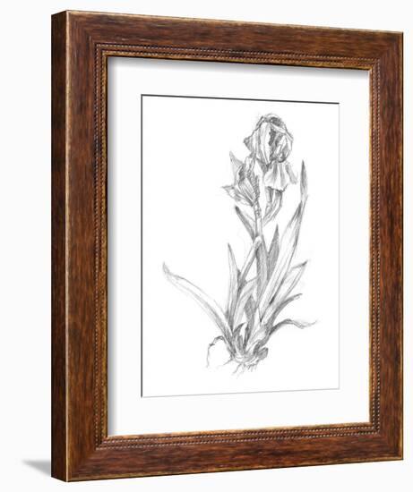 Botanical Sketch VI-Ethan Harper-Framed Art Print