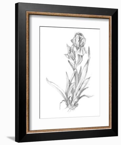 Botanical Sketch VI-Ethan Harper-Framed Art Print