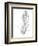 Botanical Sketch VI-Ethan Harper-Framed Art Print