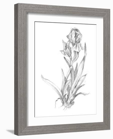 Botanical Sketch VI-Ethan Harper-Framed Art Print