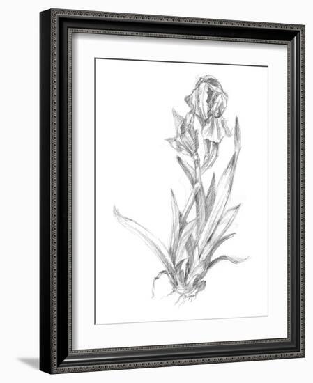 Botanical Sketch VI-Ethan Harper-Framed Art Print