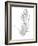 Botanical Sketch VI-Ethan Harper-Framed Art Print