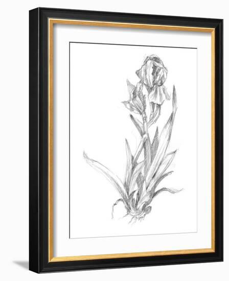 Botanical Sketch VI-Ethan Harper-Framed Art Print