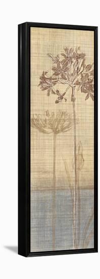 Botanical Sketchbook II-Tandi Venter-Framed Stretched Canvas