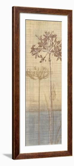 Botanical Sketchbook II-Tandi Venter-Framed Art Print