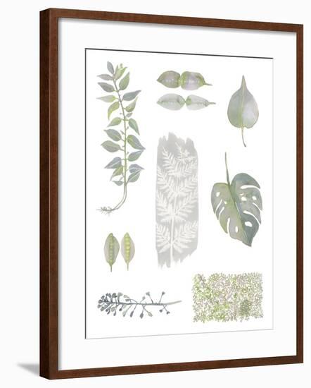 Botanical Studies-Sandra Jacobs-Framed Giclee Print