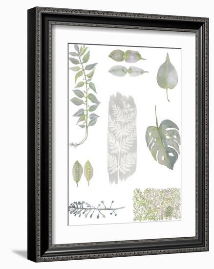 Botanical Studies-Sandra Jacobs-Framed Giclee Print