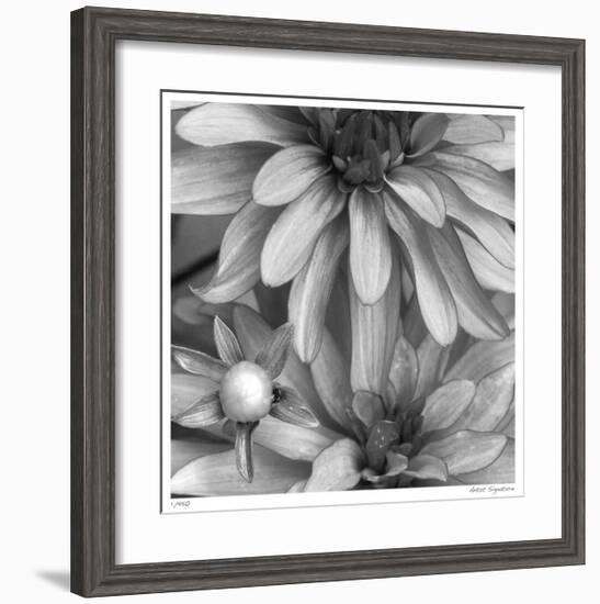 Botanical Study 10-Stacy Bass-Framed Giclee Print