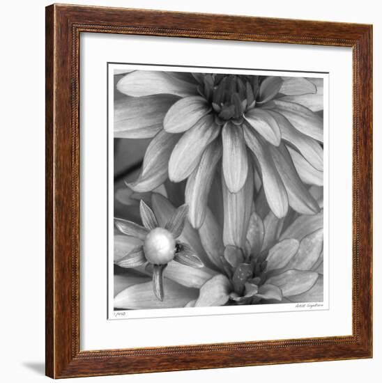 Botanical Study 10-Stacy Bass-Framed Giclee Print