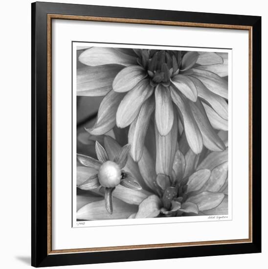 Botanical Study 10-Stacy Bass-Framed Giclee Print