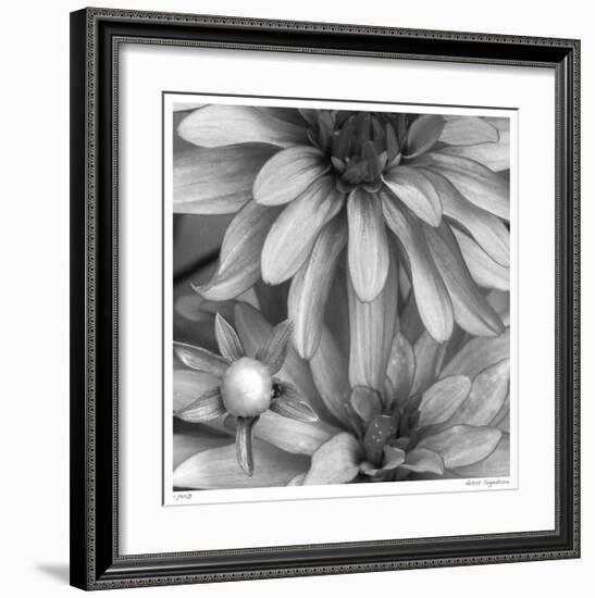 Botanical Study 10-Stacy Bass-Framed Giclee Print