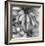 Botanical Study 10-Stacy Bass-Framed Giclee Print