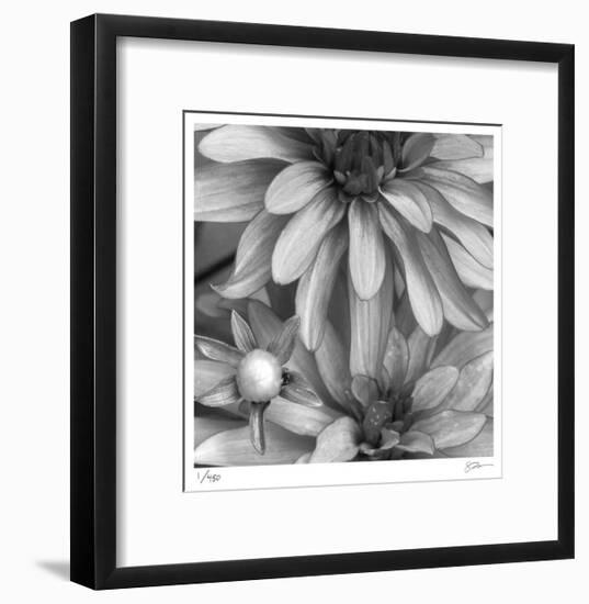 Botanical Study 10-Stacy Bass-Framed Limited Edition