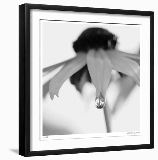 Botanical Study 11-Stacy Bass-Framed Giclee Print