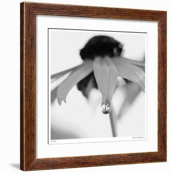 Botanical Study 11-Stacy Bass-Framed Giclee Print