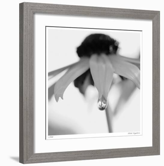 Botanical Study 11-Stacy Bass-Framed Giclee Print