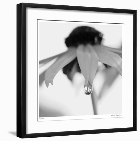 Botanical Study 11-Stacy Bass-Framed Giclee Print